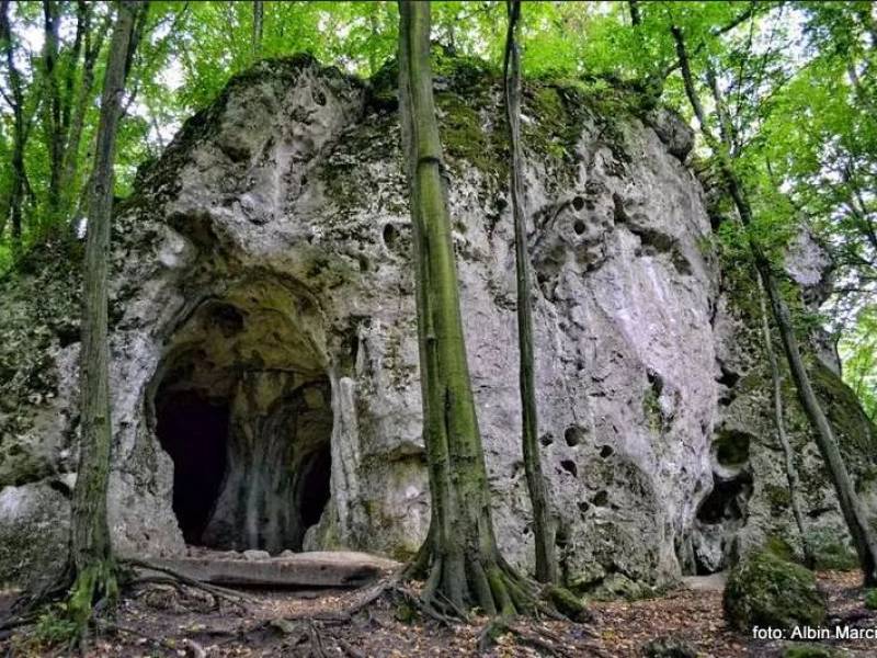 Jaskinia Ostrężnicka na Jurze Krakowsko-Częstochowskiej